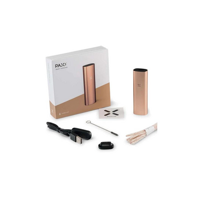 The progression of Pax2 to Pax3